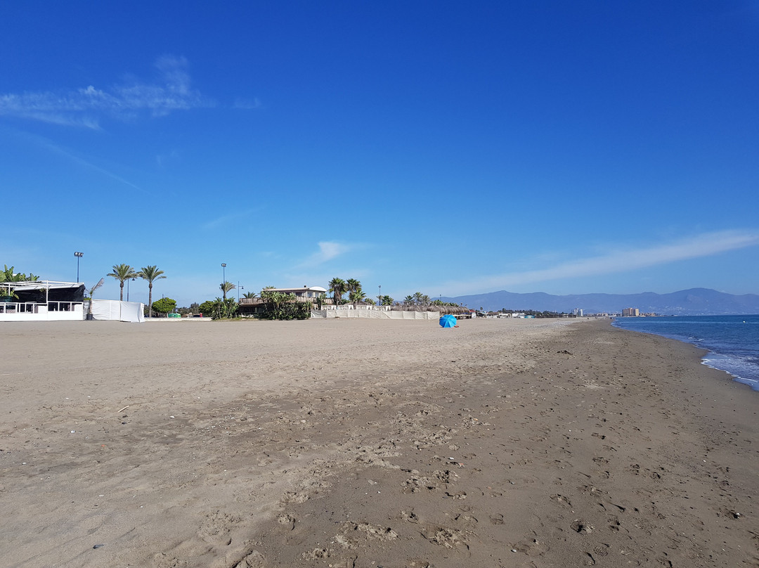 Playa de los Álamos景点图片