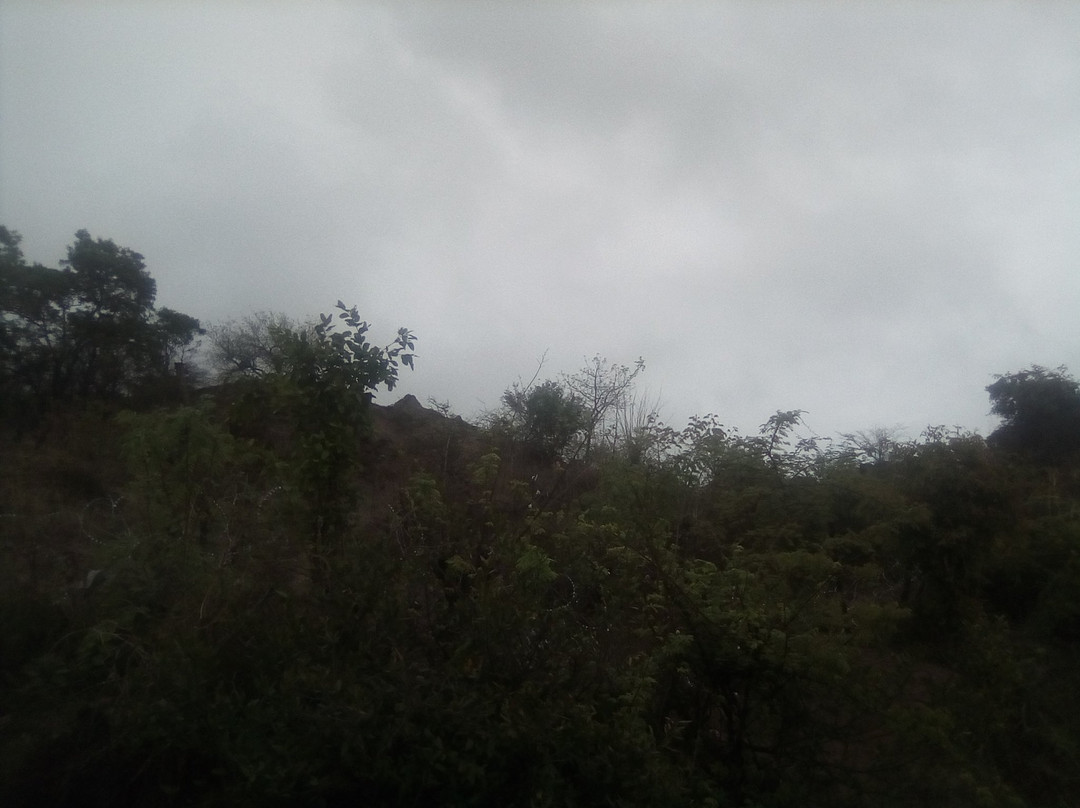 Africa Spear Kruger Park Safaris景点图片