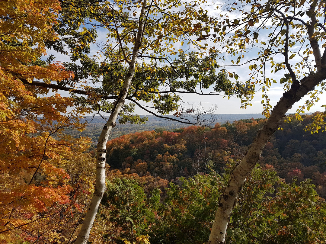 Spencer Gorge Conservation Area景点图片