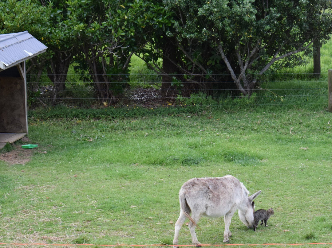 Jacaranda Lodge主图