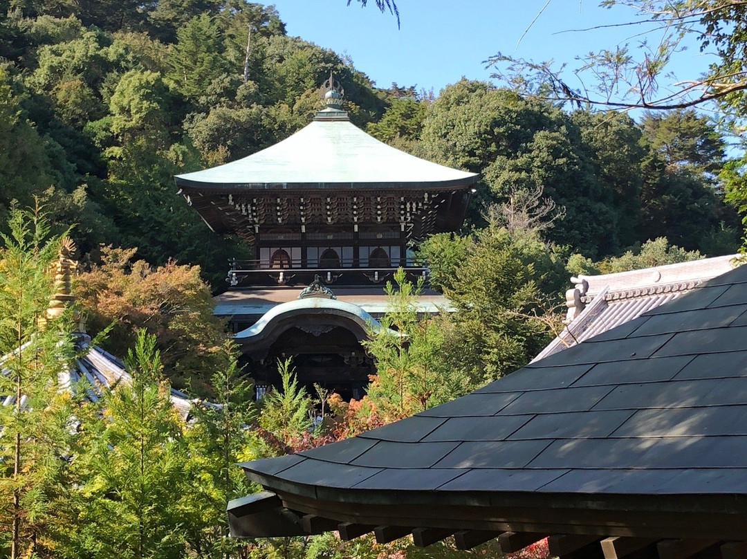 Sannou Shrine景点图片