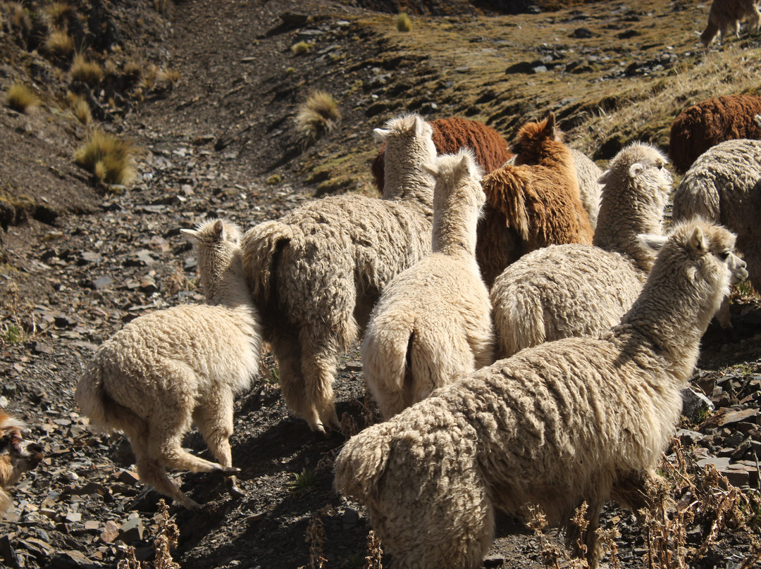 Sorata Extreme Biking-Sorata必去景点