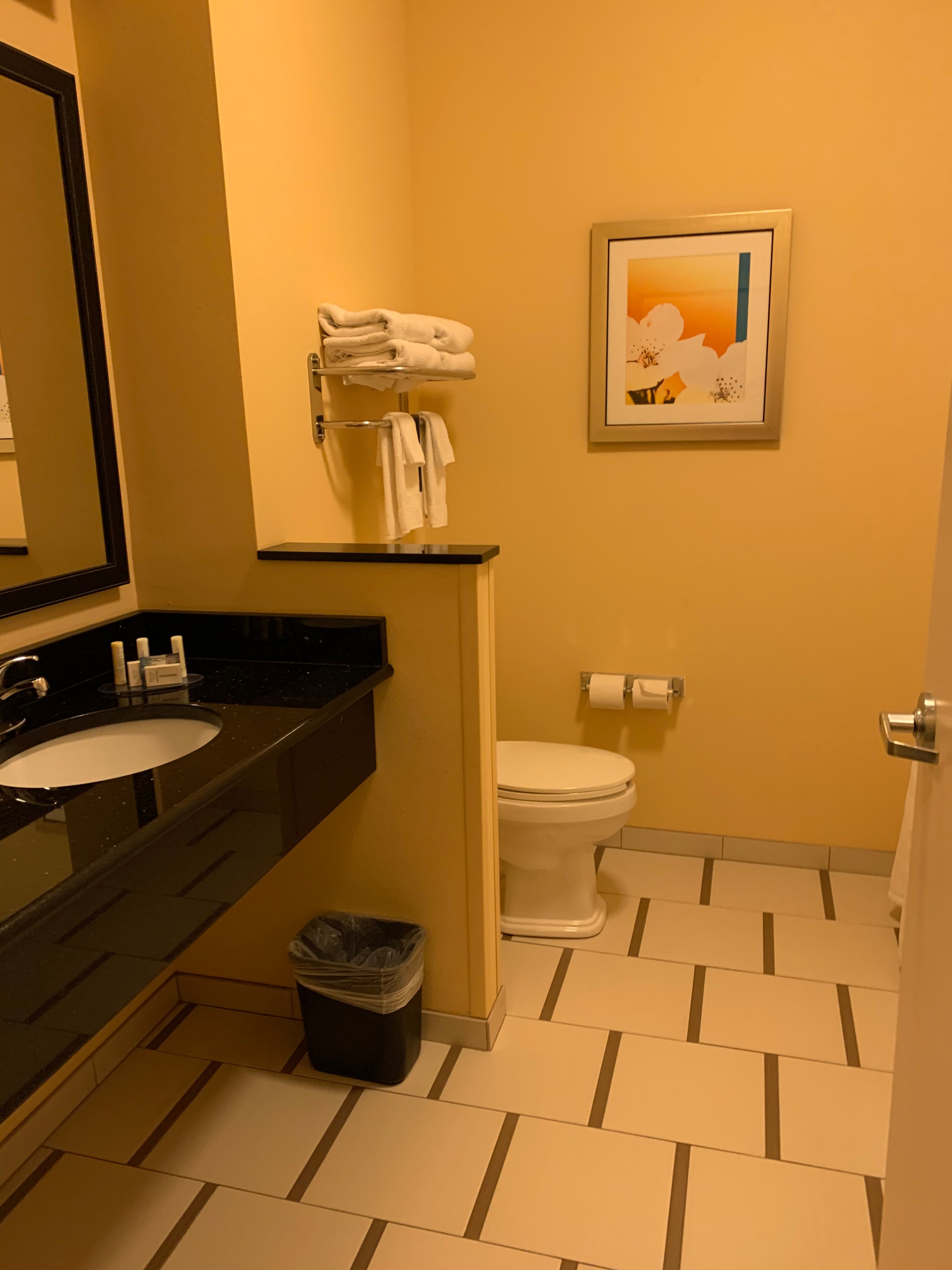 Fairfield Inn & Suites by Marriott Des Moines Urbandale-浴室