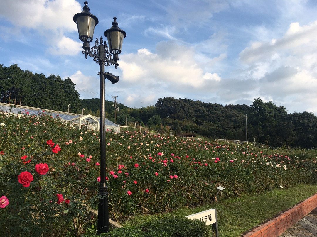 Shimada City Baranooka Park景点图片