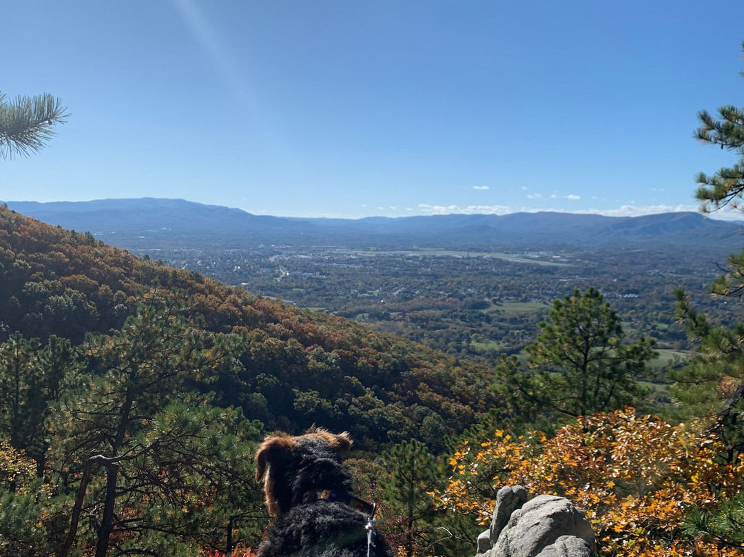 Read Mountain Preserve景点图片