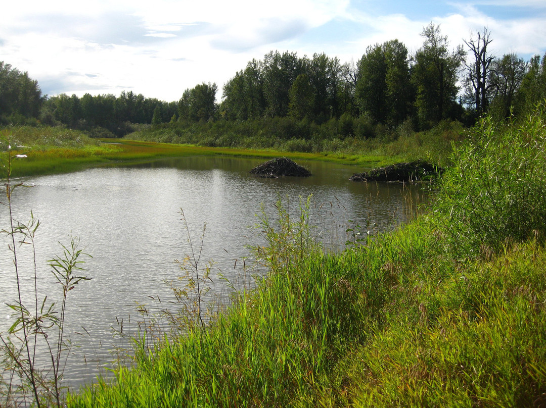 Peace Island Park-Taylor必去景点