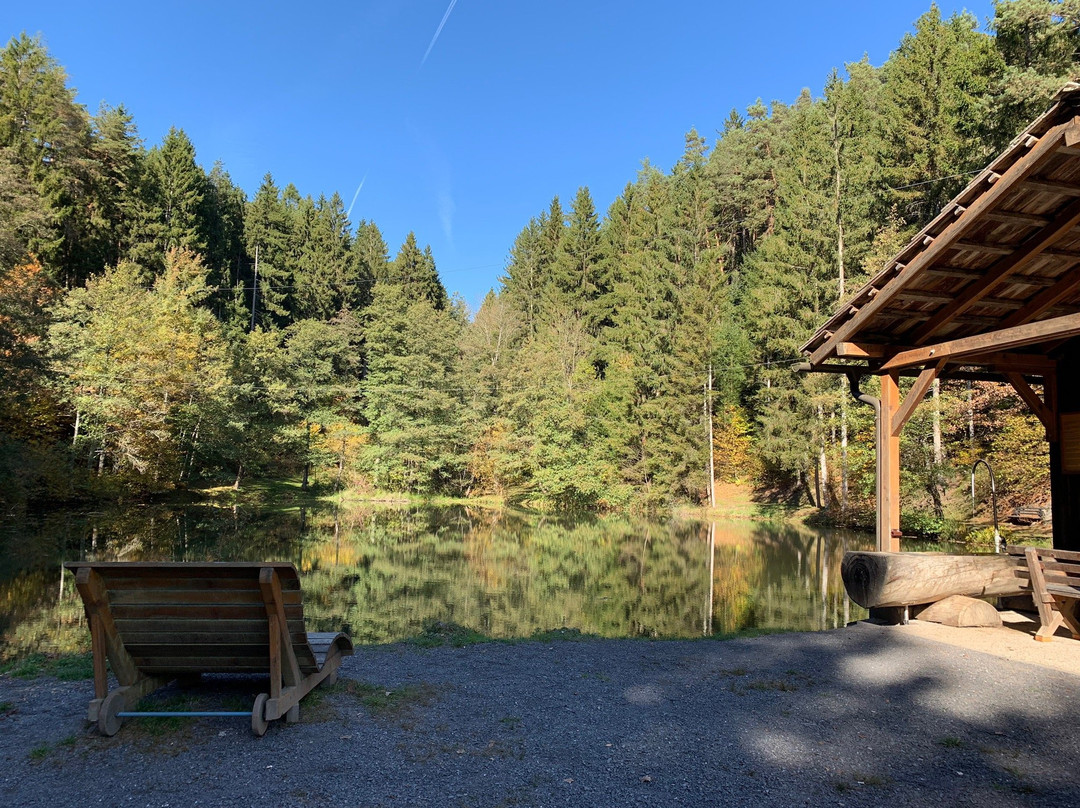 Aussichtsplattform Waldbühne auf der Luschan Höhe景点图片