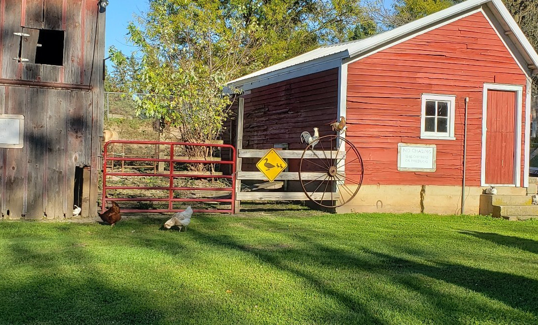 Hay Creek Valley Campground and Old Western Saloon-雷德温必去景点