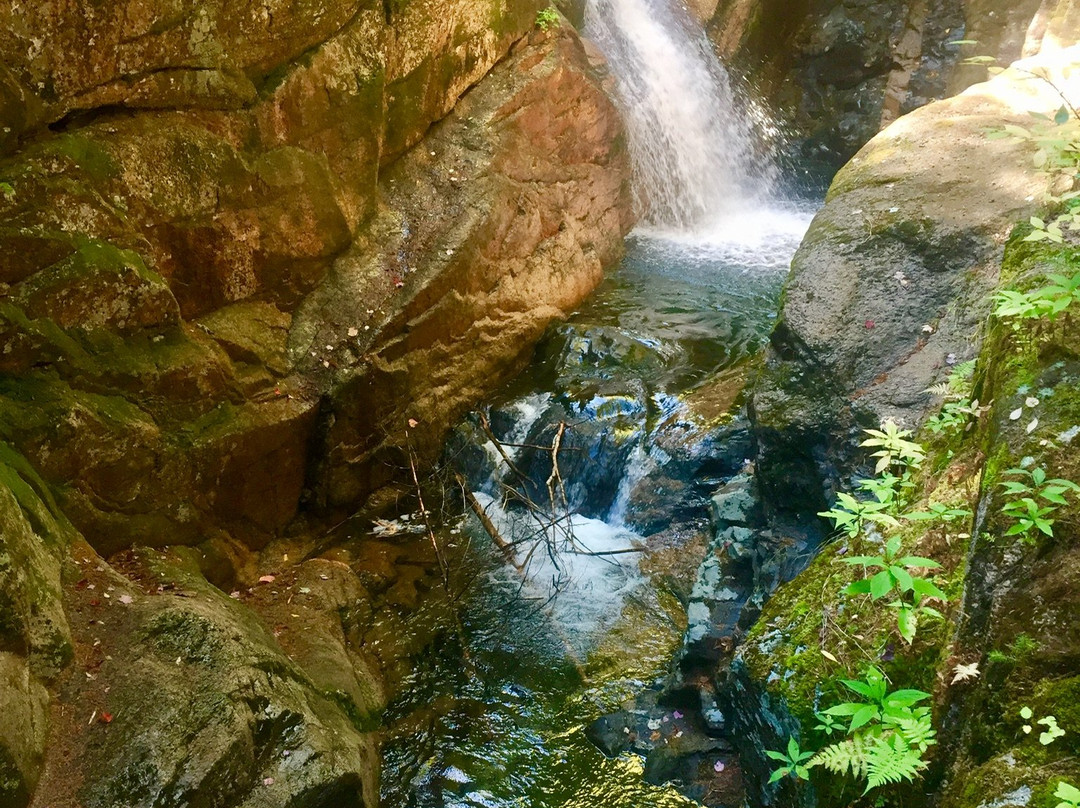 Sabbaday Falls景点图片