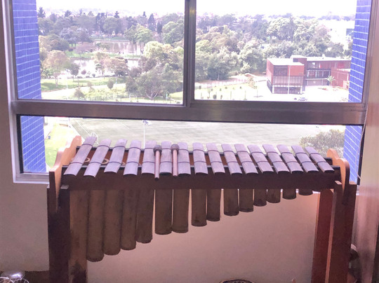 Tu Baile - Dance School & Events-波哥大必去景点