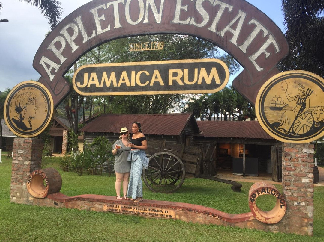 Reddie Transfers And Tours JA-蒙特戈贝必去景点