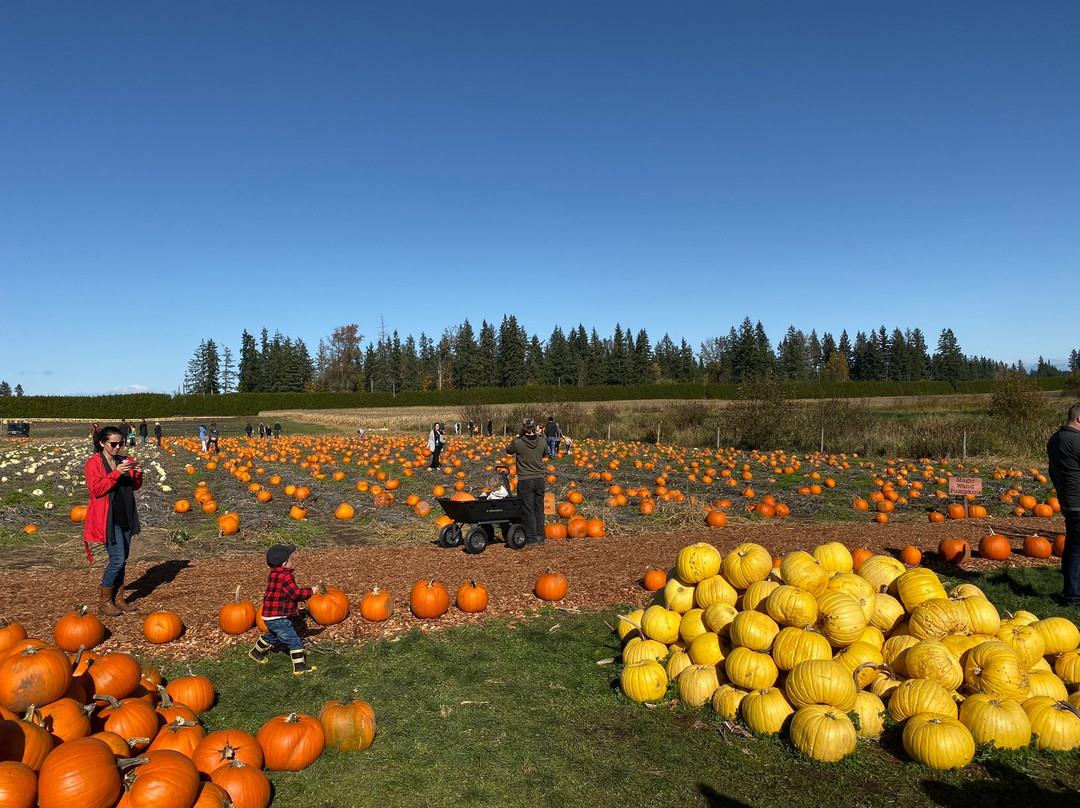 Coastal Black Estate Winery-黑溪必去景点