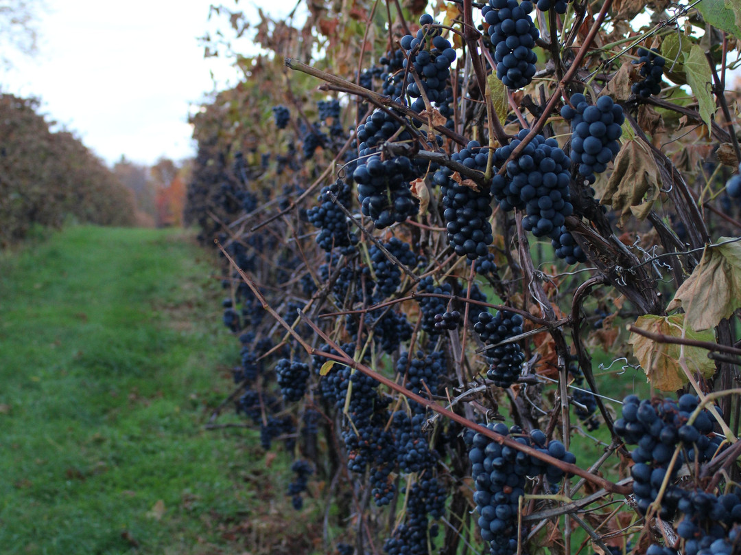 Vignoble Domaine Bresee-Sutton必去景点