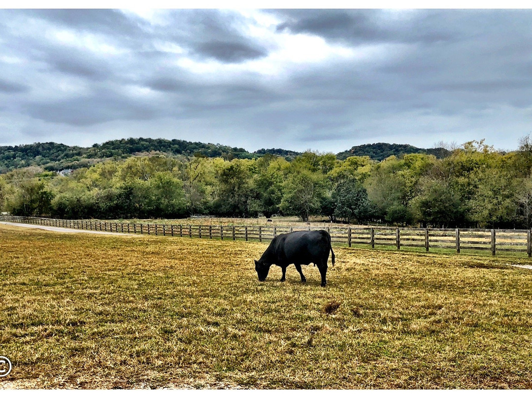 Gentry's Farm-富兰克林必去景点