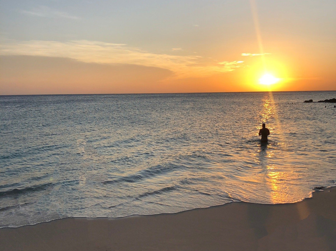 Moomba B&B Ocean Front Hostel主图