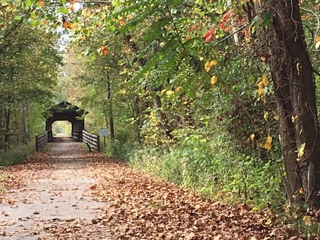 Mohican Valley Trail景点图片