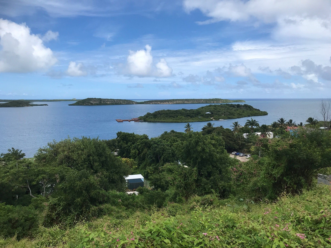 NexusTours Antigua景点图片