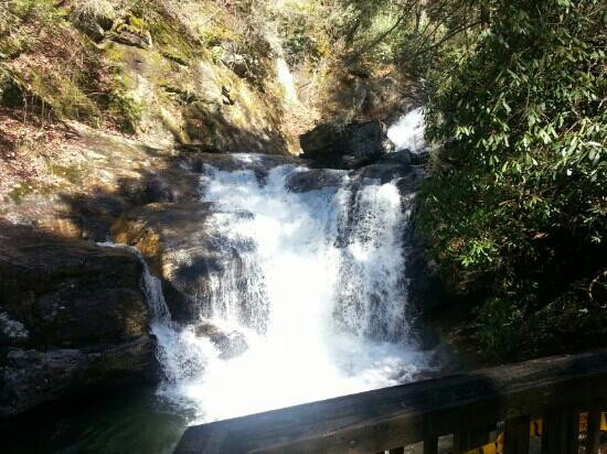 Dukes Creek Falls Trail