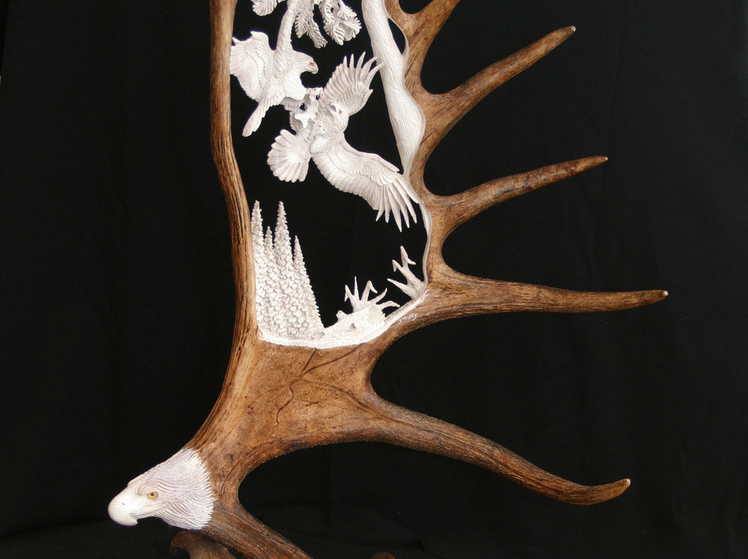 Unique Antler Design Wildlife Gallery景点图片