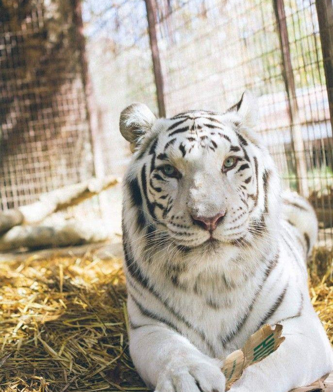 Rancho Las Lomas Wildlife Foundation-Silverado必去景点