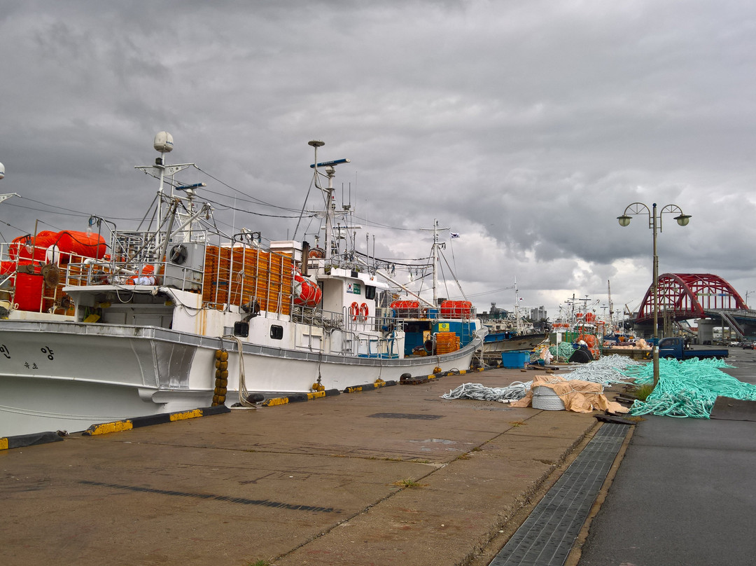 Dongmyeong Port-束草市必去景点