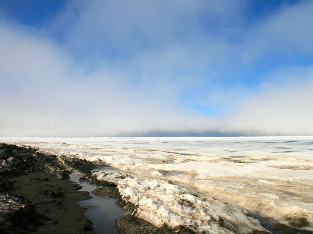 Tundra Tours Inc景点图片