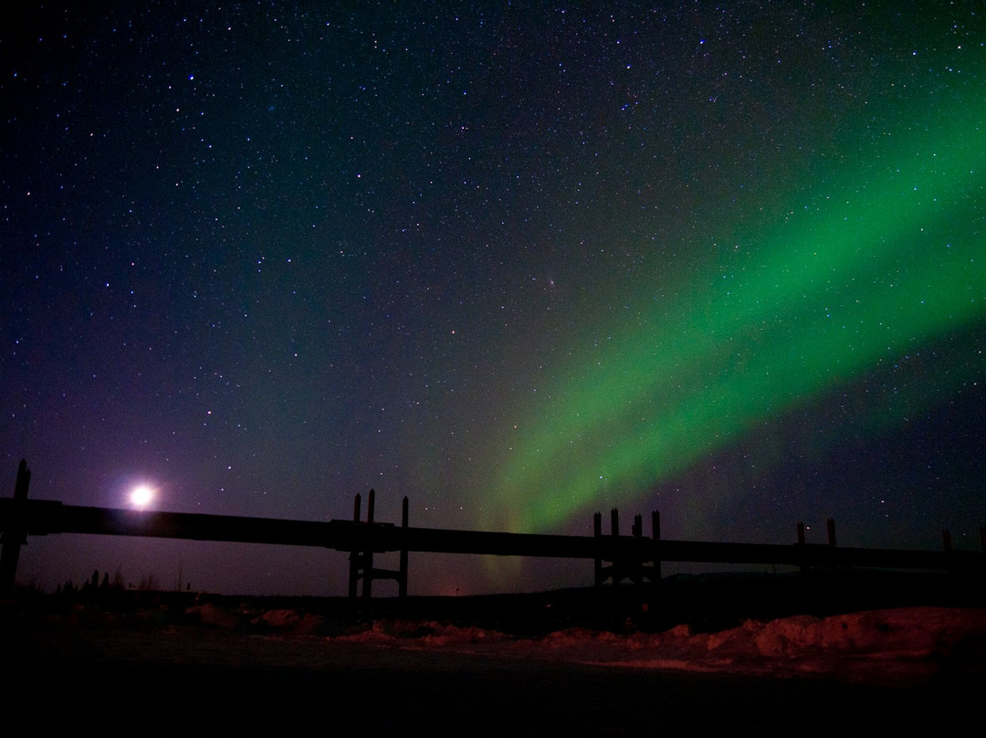 Airlink Shuttle and Tours-费尔班克斯必去景点