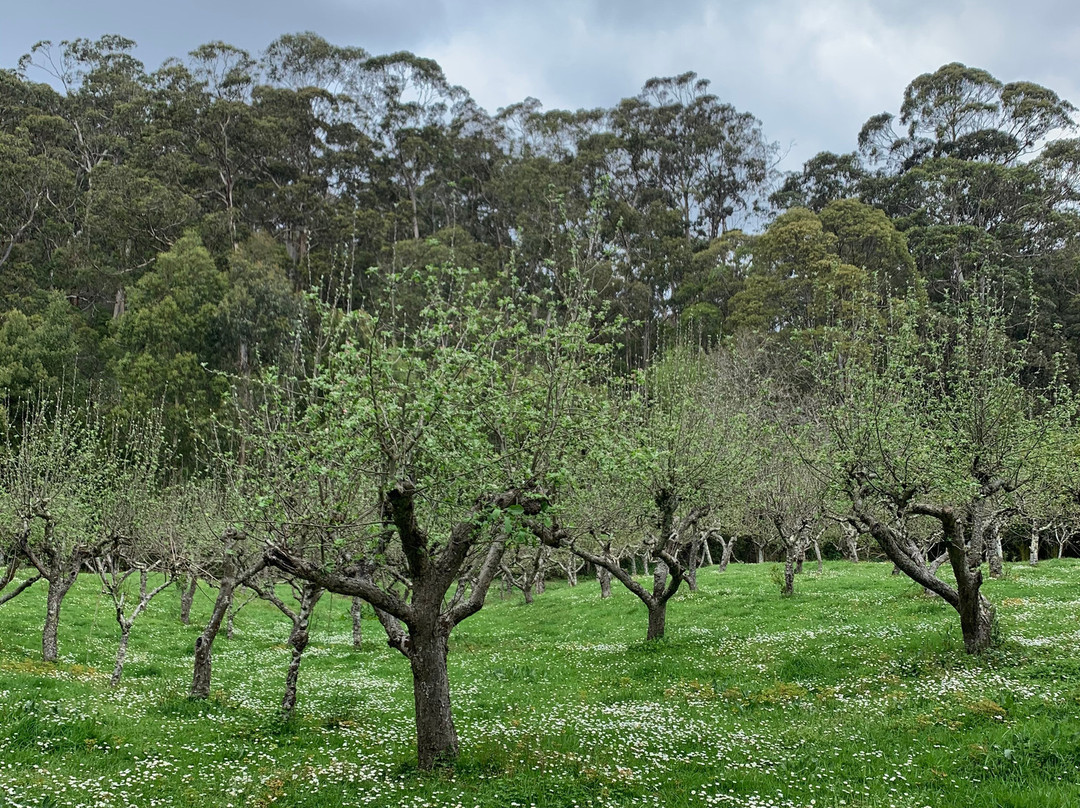 Phantom Falls-洛恩必去景点