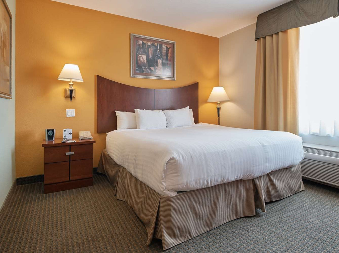 Wingate by Wyndham Chihuahua主图