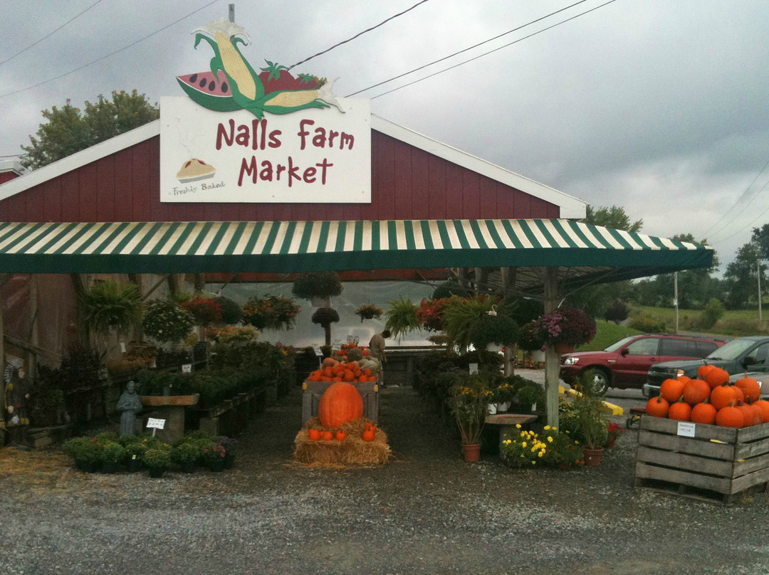 Nalls Farm Market景点图片