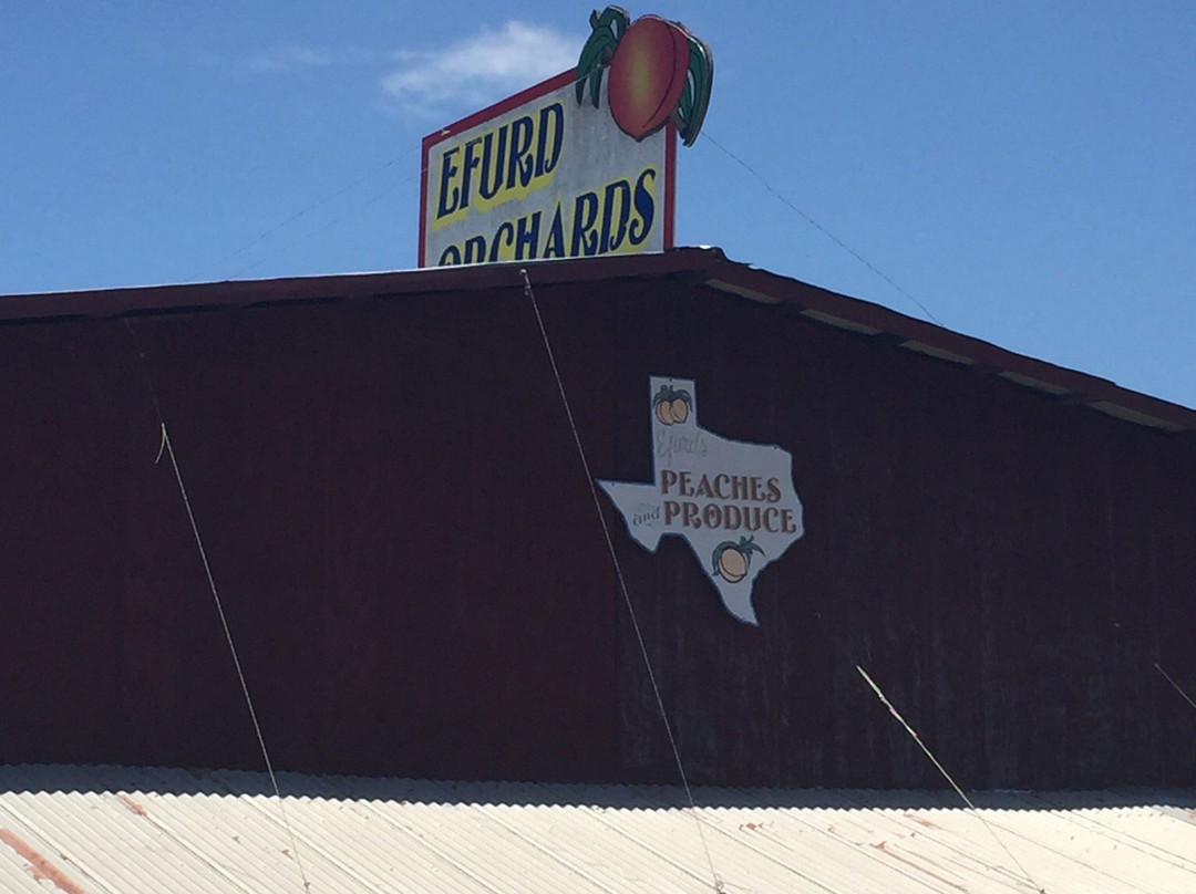 Pittsburg旅游景点-Efurd Orchards