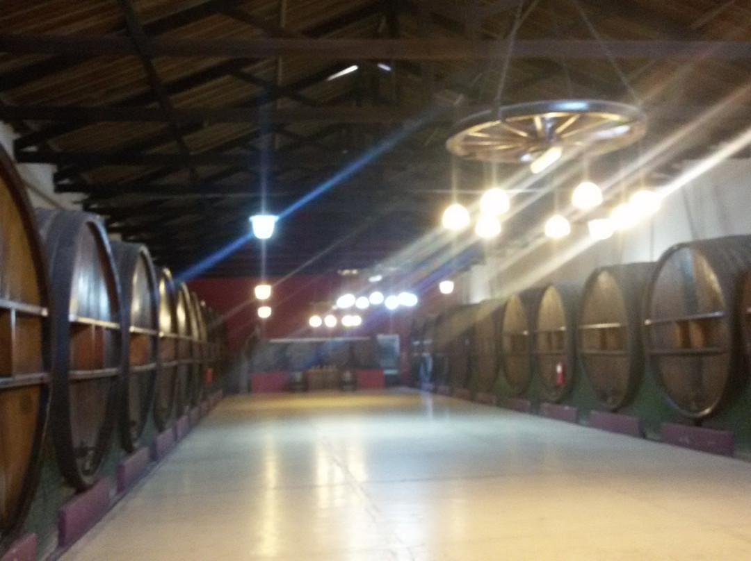 Bodegas Baudron-Maipu必去景点