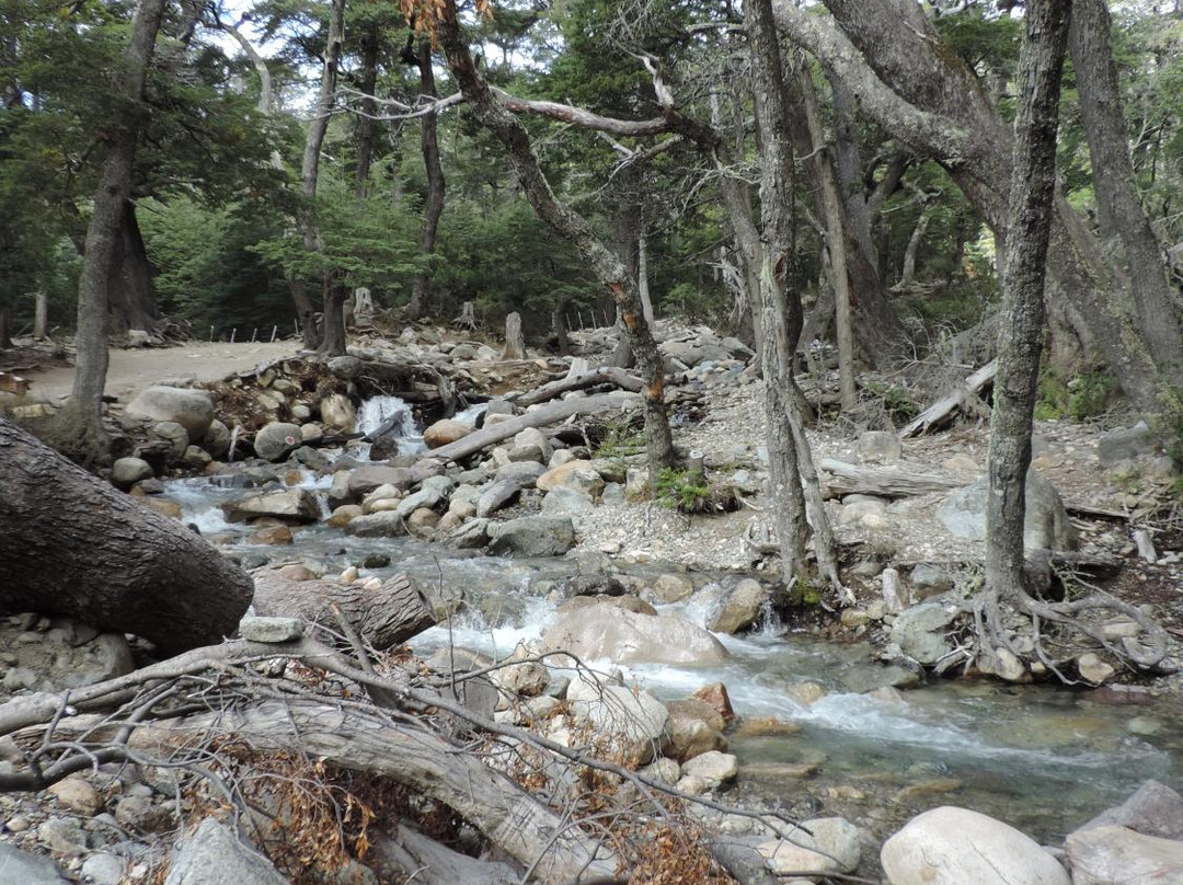 Peulla旅游景点-Arroyo López