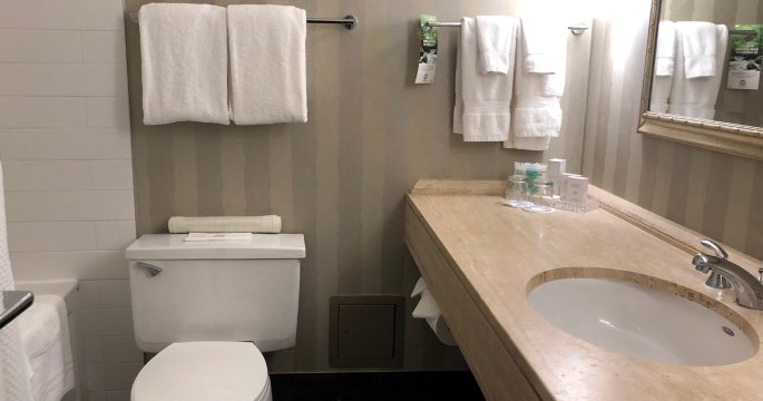沙曼标志埃德蒙顿市中心酒店-浴室