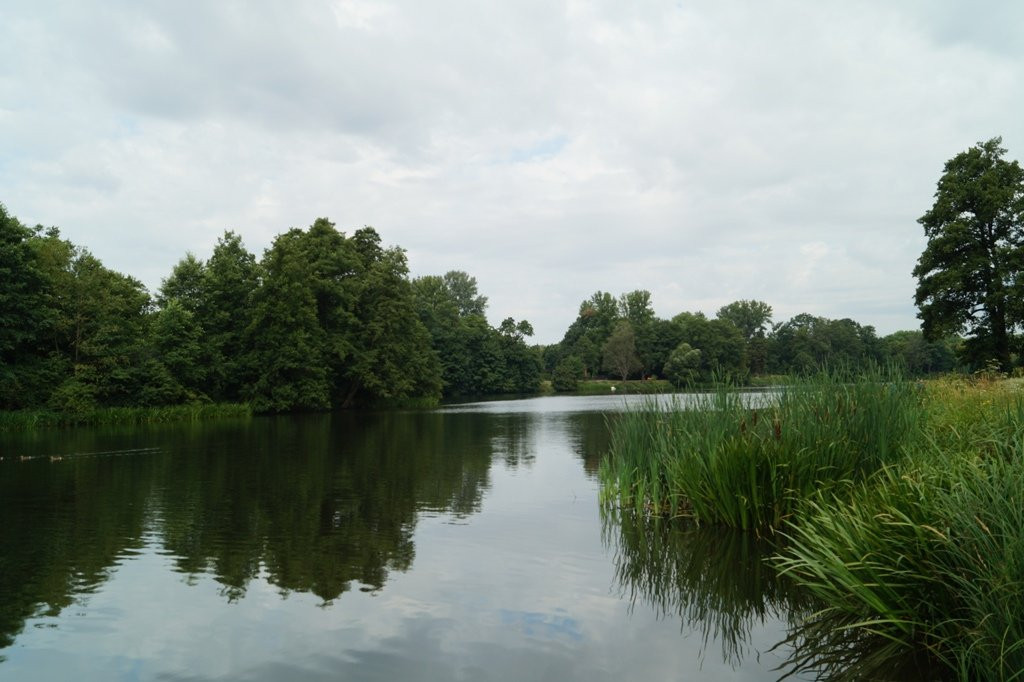 Stefański's pond景点图片