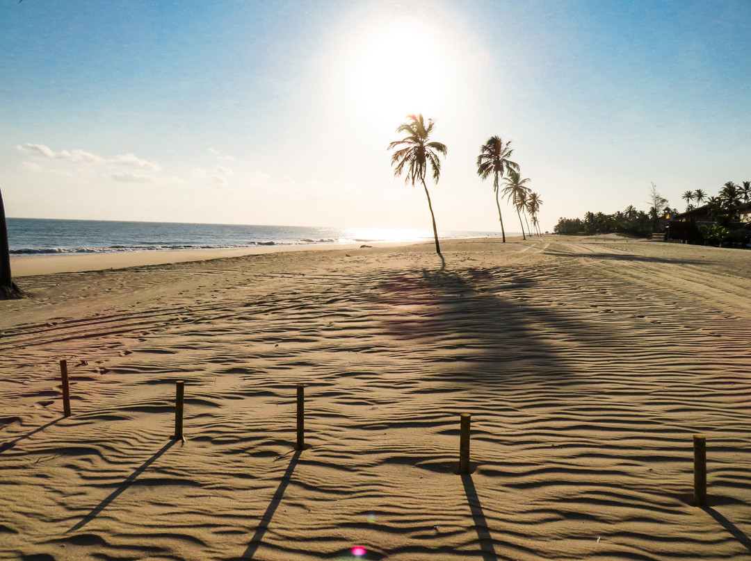 Windtown Beach Hotel主图