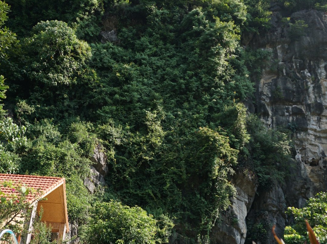 Tam Coc Rocky Bungalow主图