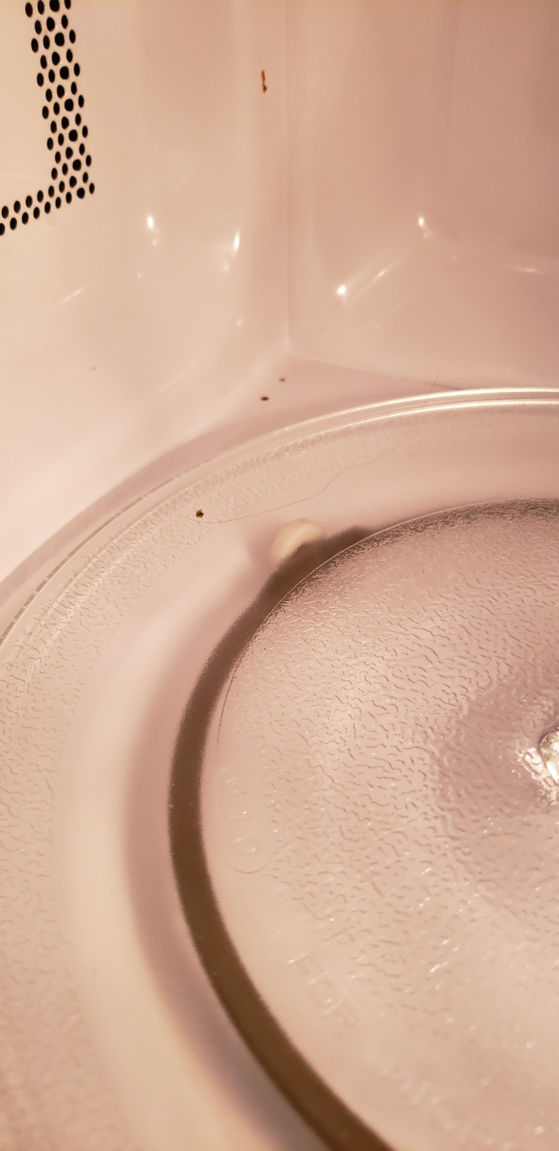 蒙特格尔速8酒店-portrait