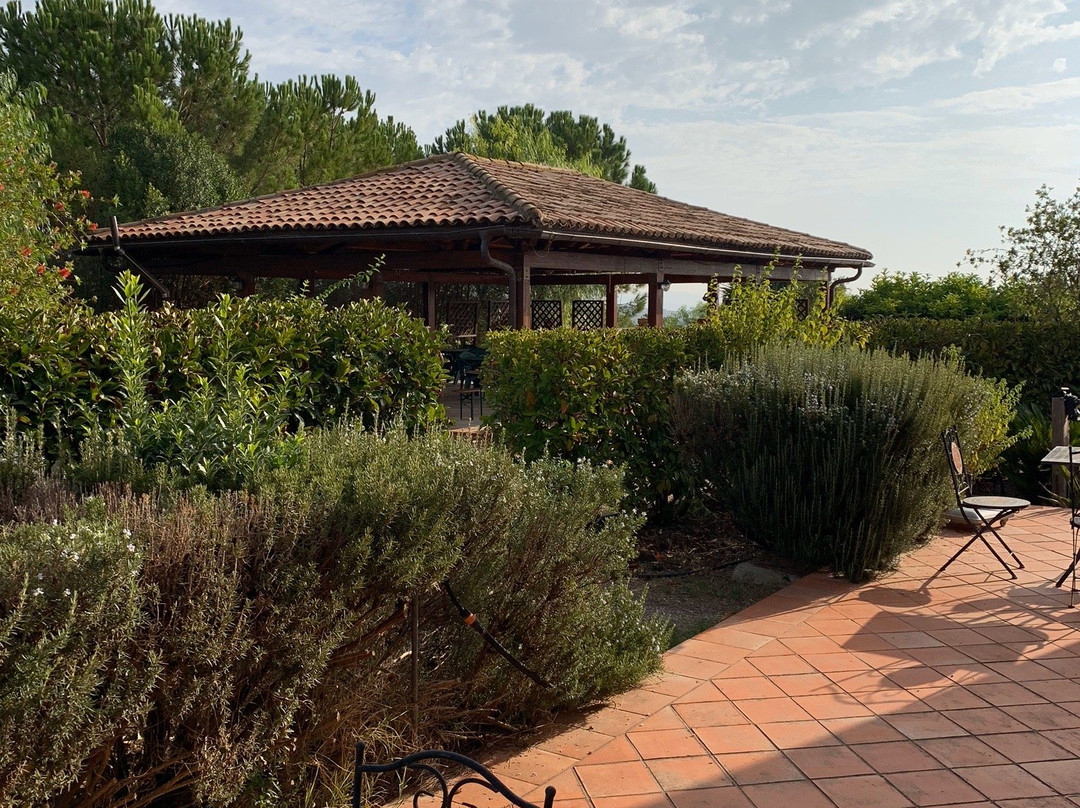 Azienda Agricola Silvia Sillitti主图