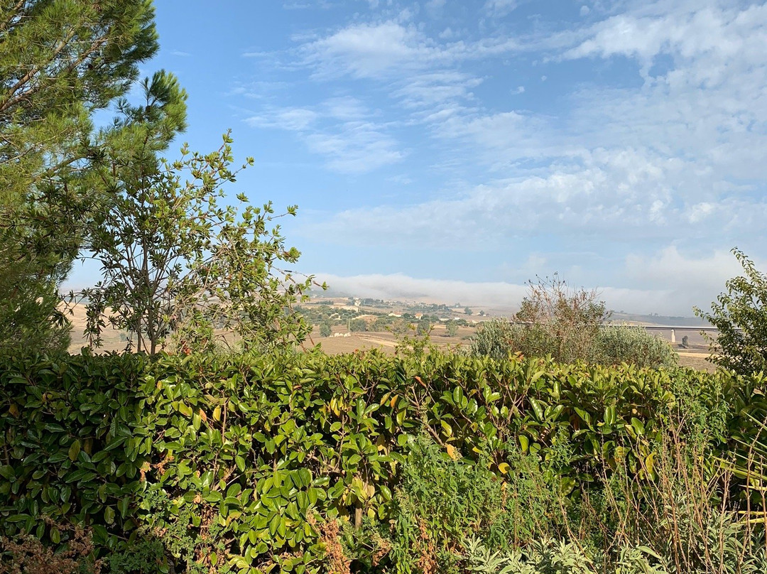 Azienda Agricola Silvia Sillitti主图