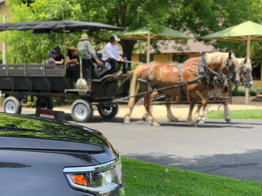 Peninsula Limo-旧金山必去景点