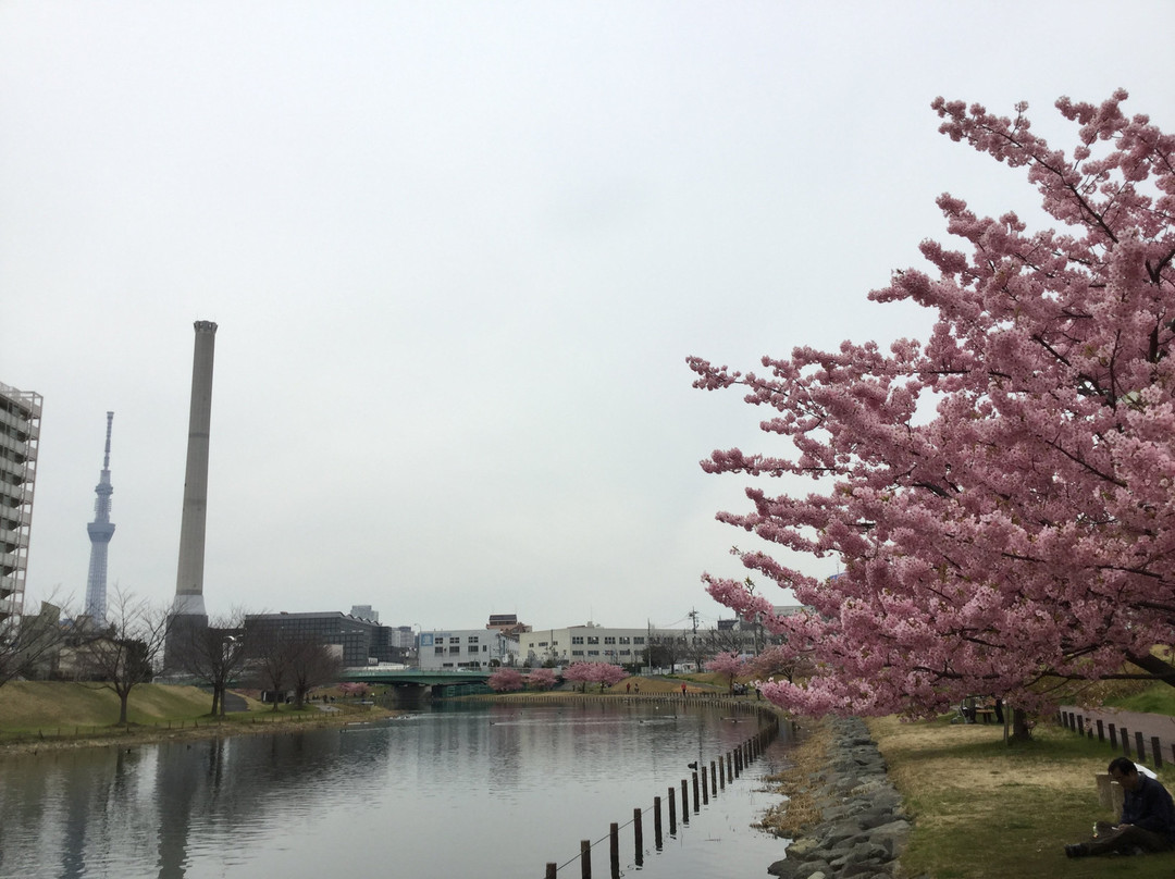 Kyunaka River-墨田区必去景点
