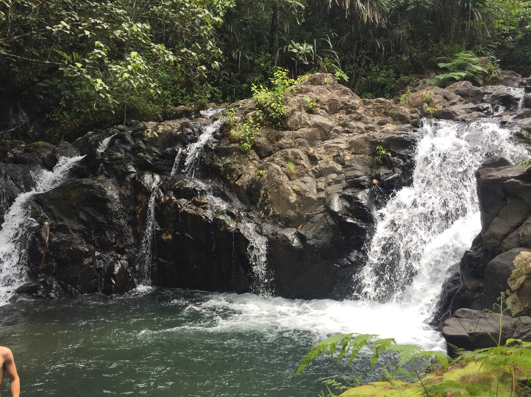 Waisali Rainforest Reserve-萨武萨武必去景点