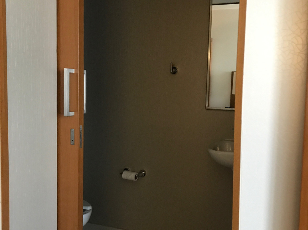 SpringHill Suites by Marriott Detroit Metro Airport Romulus主图