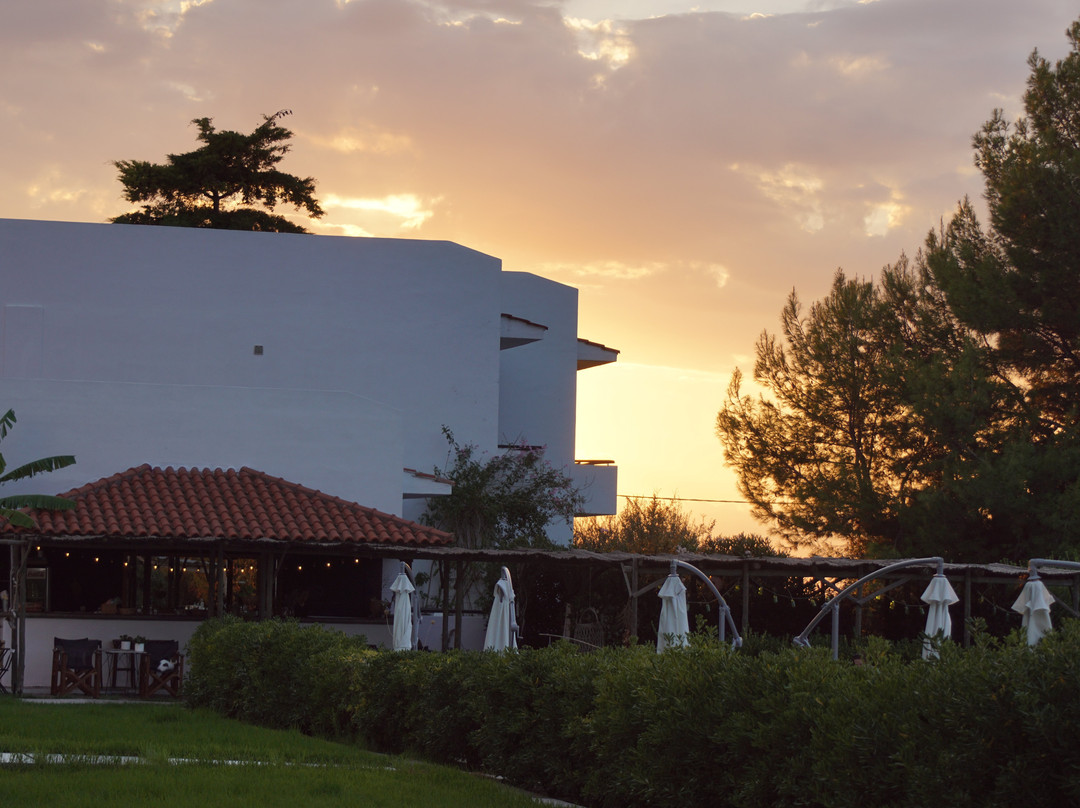 My Little Place On The Hill主图