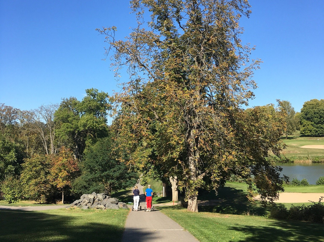 Golfclub Schloss Braunfels景点图片