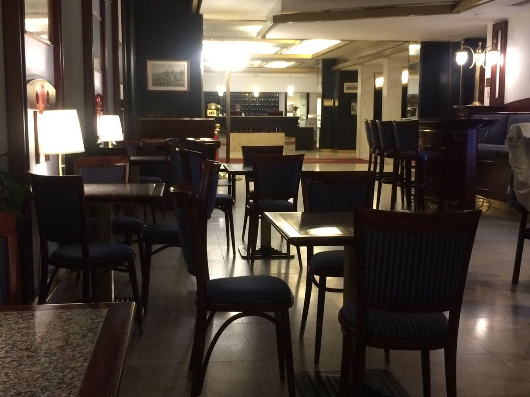 布尔诺大酒店主图
