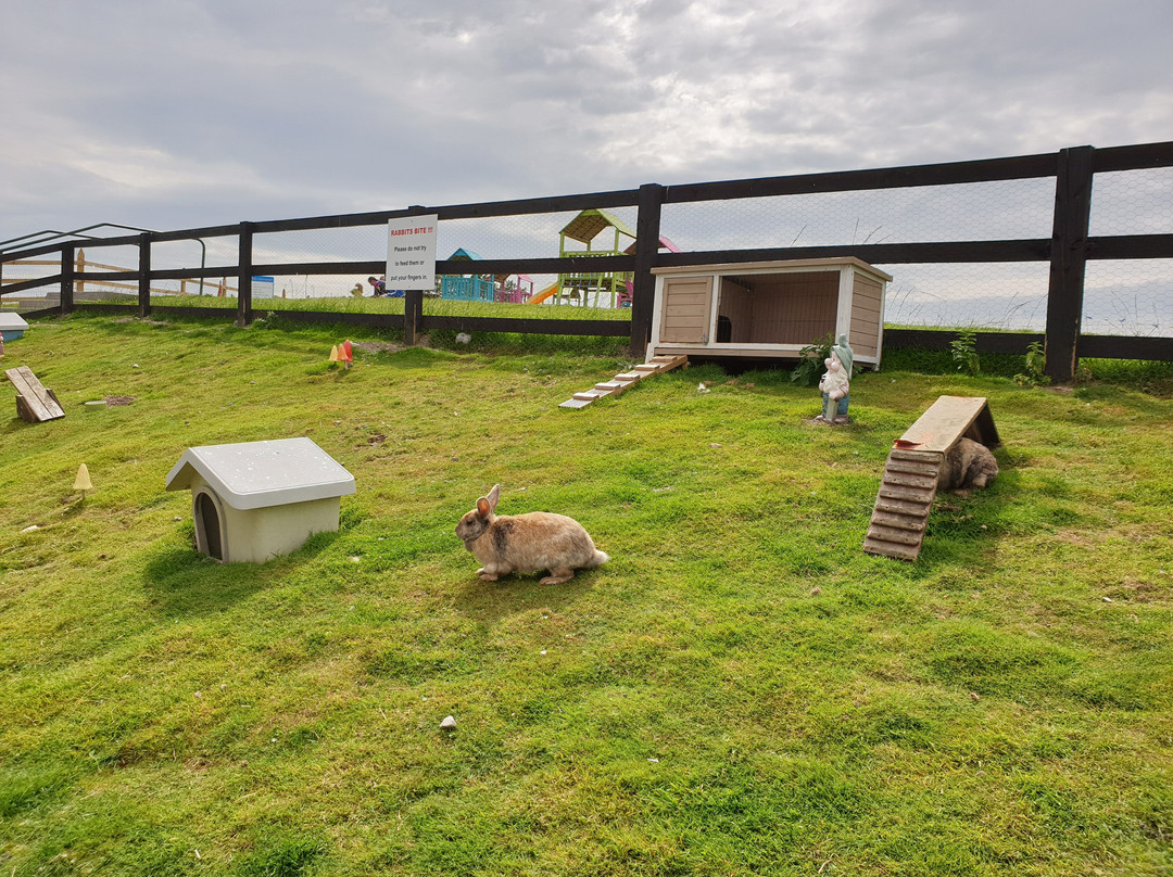 Tearaways Pet Farm & Activity Centre景点图片