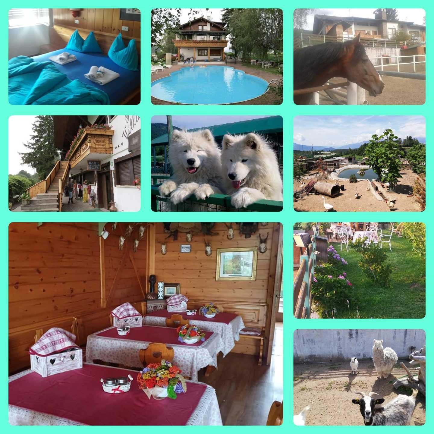 Garnì Villa Lory-官方