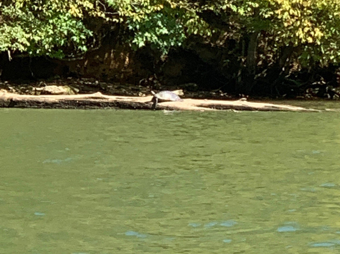 Canoe Kayak Chattanooga-Whitwell必去景点